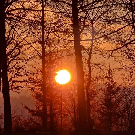 Готель Winterberg-hoheleye Вінтерберг
