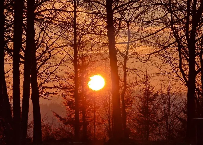 Готель Winterberg-hoheleye Вінтерберг